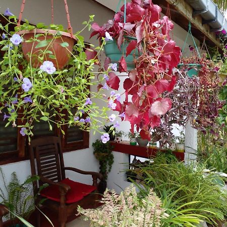 Gem Villa Weligama Eksteriør billede