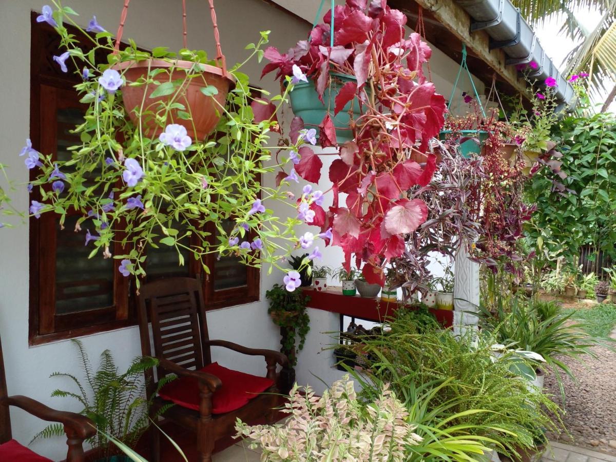 Gem Villa Weligama Eksteriør billede