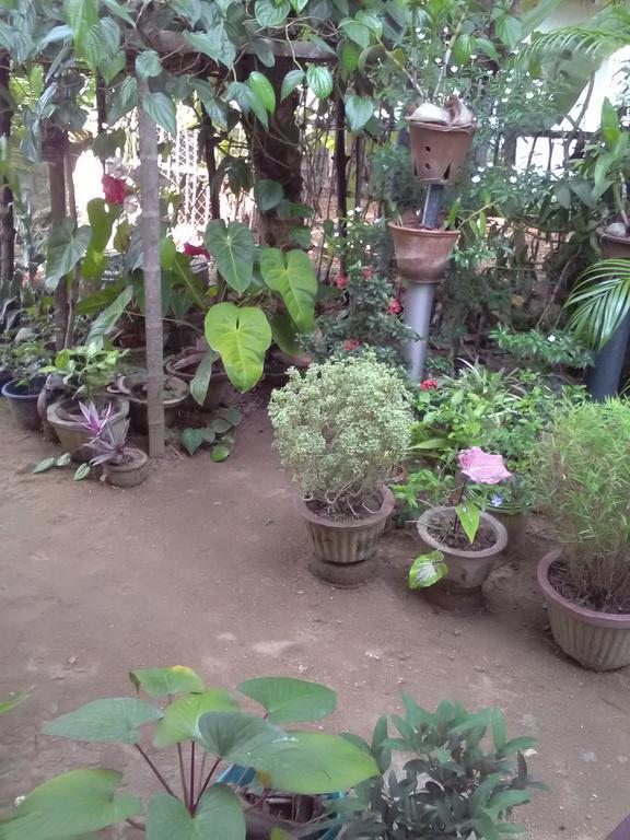 Gem Villa Weligama Eksteriør billede