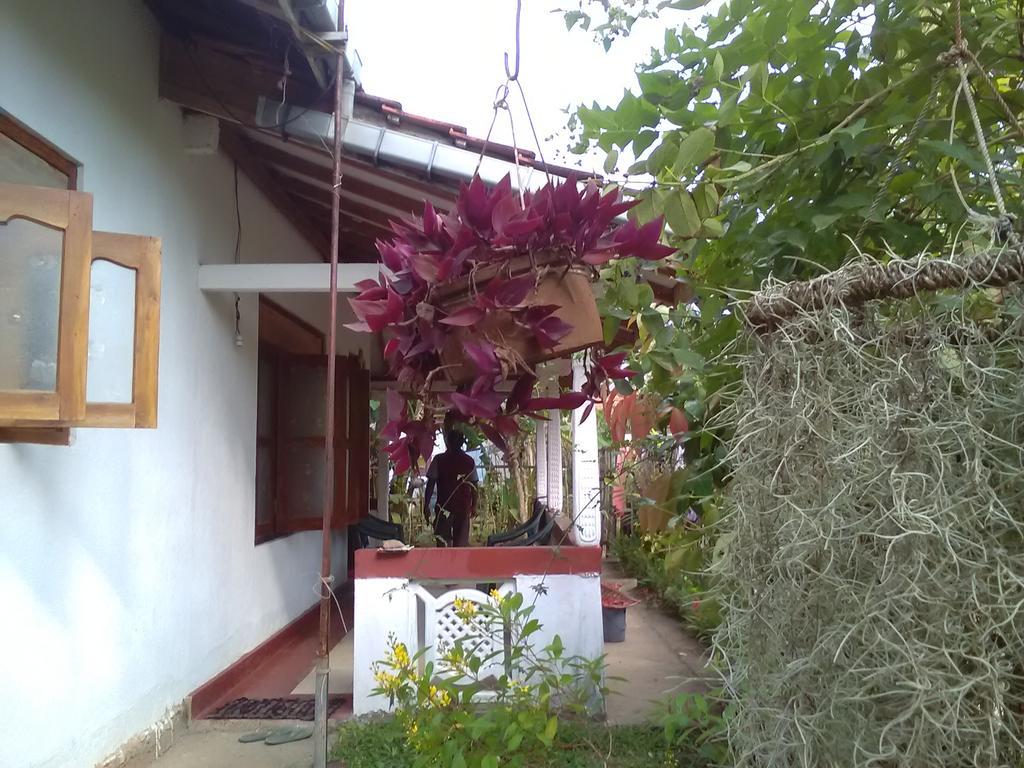 Gem Villa Weligama Eksteriør billede